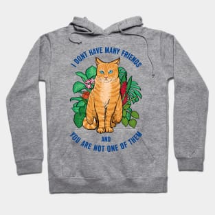 Not a Friendly Cat Hoodie